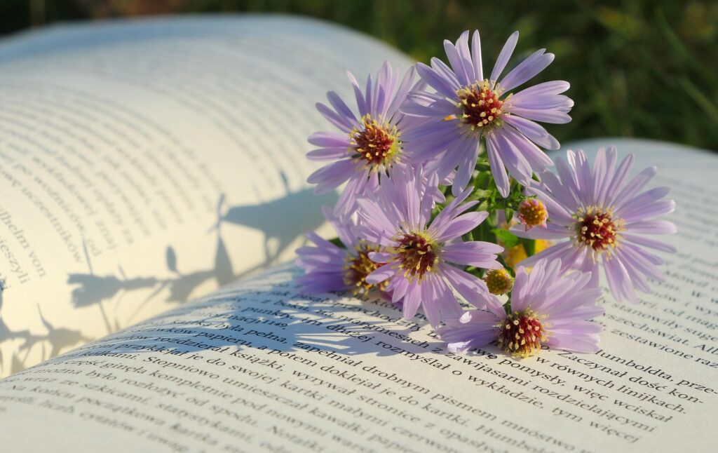 A book and flower, Poetry and quotes