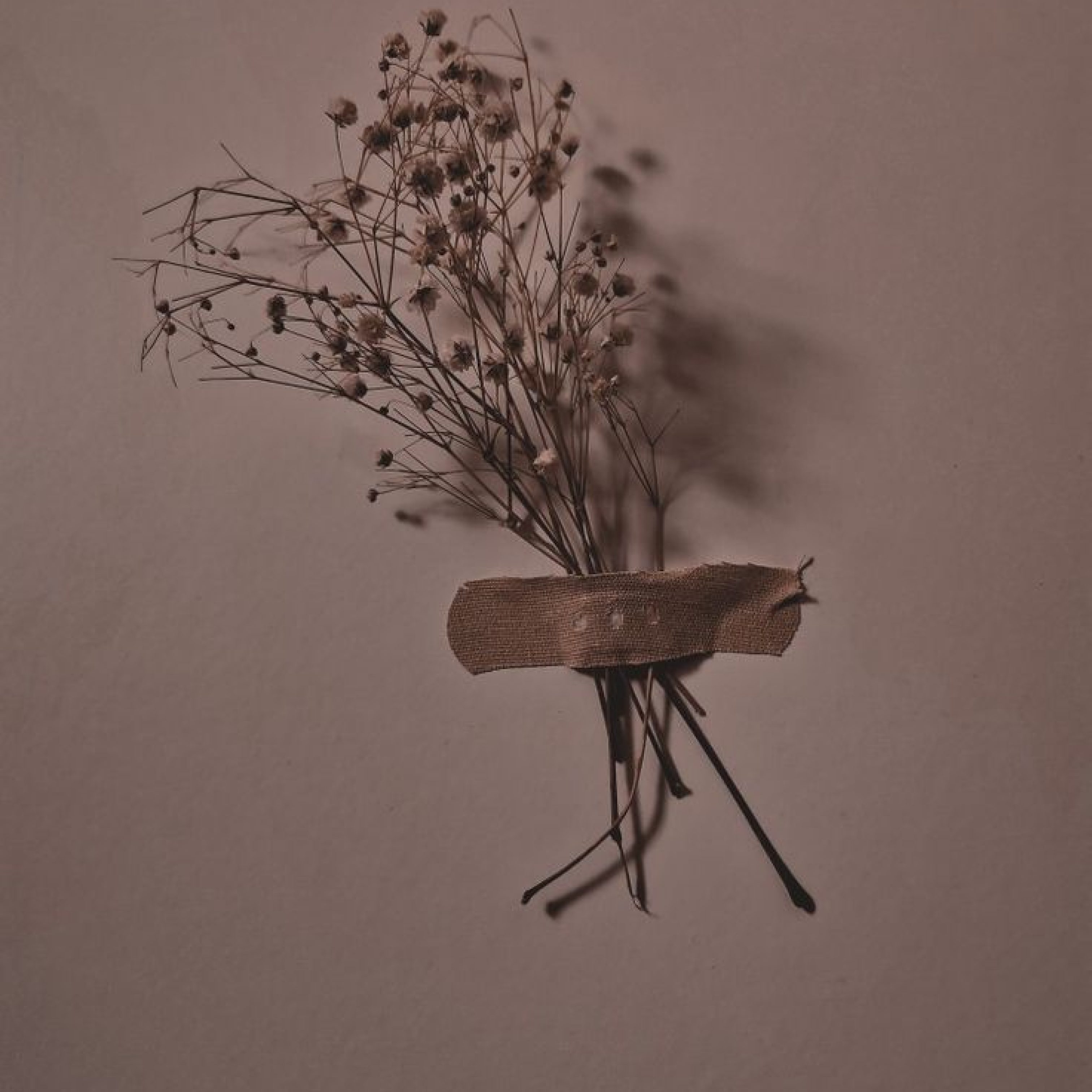 Flowers on wall